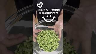 夏は『だし』！なす嫌いな子供もパクパク#子育て #簡単レシピ #料理 #3兄弟 #レシピ #家族vlog #だし#豆腐#夏#夏野菜#なす