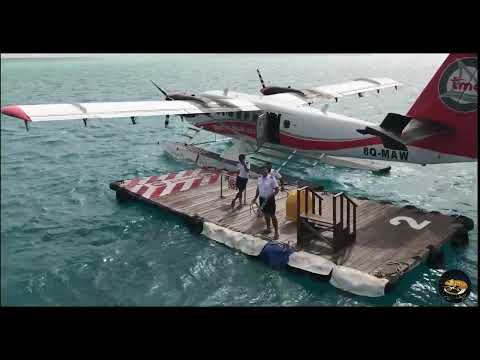 BRENO MIRANDA|DROPACK -Teu Canto (with Dropack)