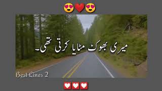 Urdu poetry WhatsApp Status  Ali Shah best poetry 