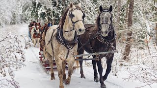 Celtic Christmas Carols, Soft Holiday Christmas Music "Snowy Sleigh ride" Open Road Folk Music