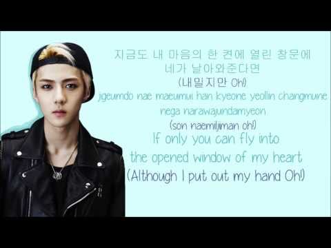 EXO-K - Peter Pan (피터팬) (Color Coded Hangul/Rom/Eng Lyrics)