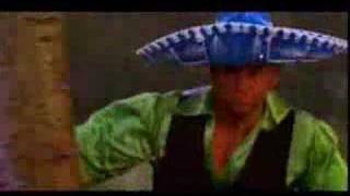 Chixdiggit! - &quot;Spanish Fever&quot;