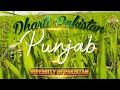 Dharti Pakistan Punjab Culture In Urdu Punjab Culture And Tradition Cosmic Creations