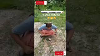 Download lagu Even frogs faint, but if a crocodile bites them, hahaha #shorts #youtube #foryourpage #frog #land... mp3 Download lagu Even frogs faint, but if a crocodile bites them, hahaha #shorts #youtube #foryourpage #frog #land... mp3