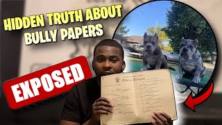 HIDDEN SECRETS ON HOW TO GET PAPERS FOR YOUR AMERICAN BULLY