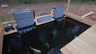 DIY Koi Pond and Deck