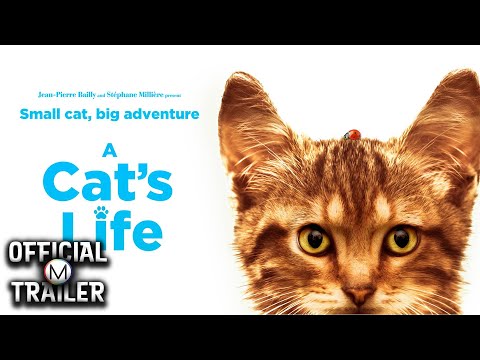 Трейлеры Nekoban: Cats in Your Life