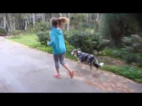 2018.02.20 EURO-Trip 2017/18 ITALIEN - SIZILIEN: Morgenlauf im Küstenwald