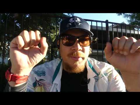 WINTER BULK DAY 34 - BRUTAL SHOULDERS