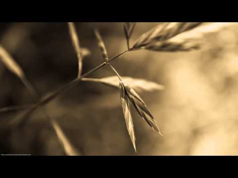 Akira Kayosa & Will Watson pres. Osaru - Osaru [Aly & Fila - FSOE 188]