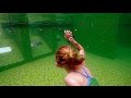 What S In The Mysterious Green Pool