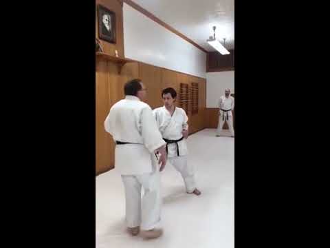 Karate Funakoshi Sensei - Tsubamegaeshi