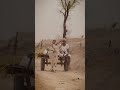 सबसे महंगी होती है मासूमियत बचपन