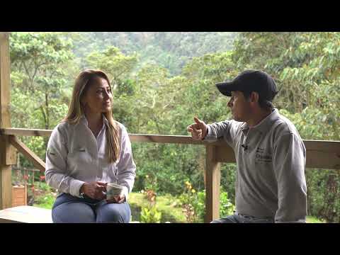 Camino al Suroeste - 26 de junio de 2024