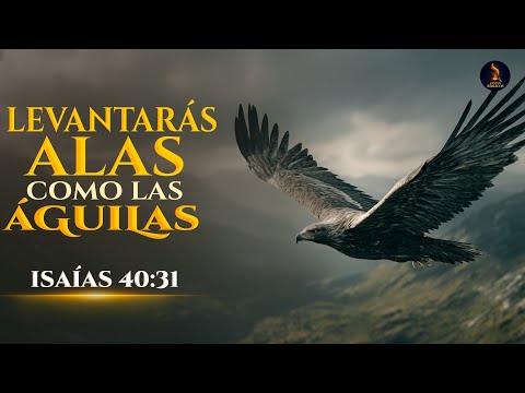 Los que Esperan en Dios Tendrán Nuevas Fuerzas — Cántico Inspirado en Isaías 40:31
