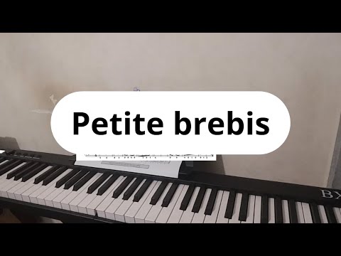 Methode ROSE 42 - Petite Brebis