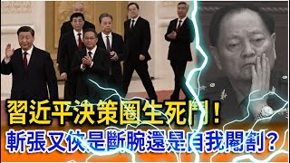 【立院榮譽顧問精華】習近平決策圈生死鬥！斬張又俠是斷腕還是自我閹割？