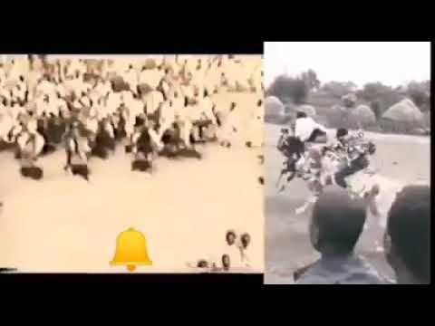 Ati killee yaa Doloolo riqicha Kajeelte ka Artist Galaana Gaaromsaa