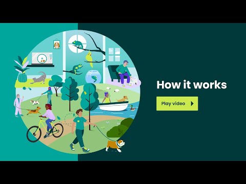 TrustedHousesitters: How it works