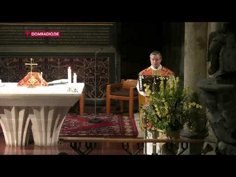 Generalvikar Markus Hofmann über das Fest des Hl. Jakobus – Predigt aus der Frühmesse vom 25.07.2019