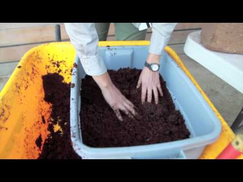 A Basic Introduction to Vermiculture