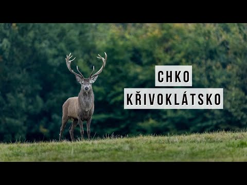 Odpolední scouting na focení v CHKO Křivoklátsko