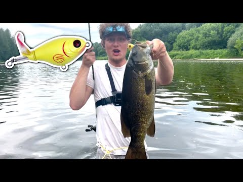 INSANE Topwater Blowups! Giant Smallmouth SMASH the Whopper Plopper (Grand River Madness)