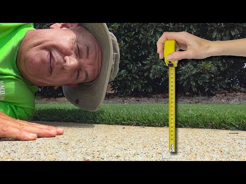 Lawn Cutting Height Summer Heat