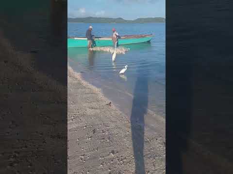 salinas da margarida cidade limpa e organizada #bahia #beach #viagem #travel