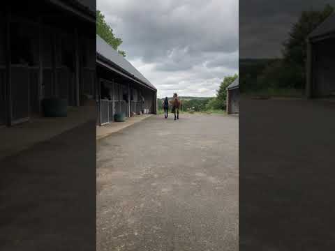 Video 4