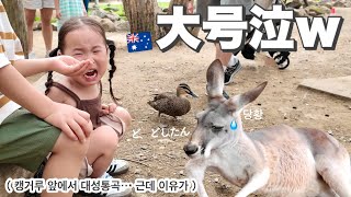 オーストラリアの動物園でまさかのハプニングwww 캥거루 앞에서 대성통곡… 근데 이유가