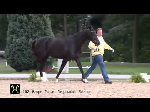 Toto Jr. (by Totilas x Desperados x Rotspon)