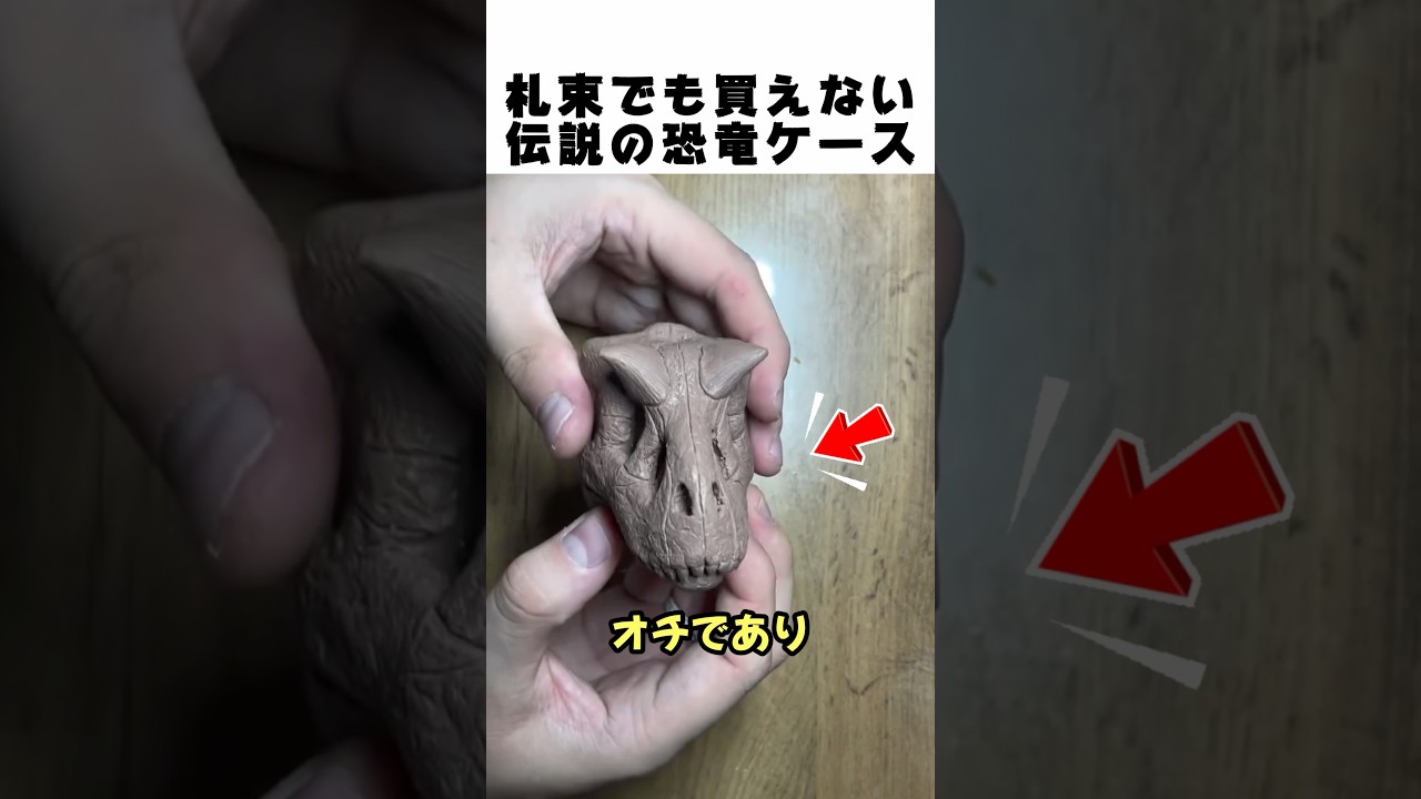 札束積んでも買えない恐竜ケース🦖