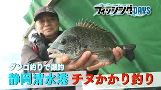がまちぬ いかだ 競技ファインマスター | がまかつ がまちぬ いかだ 競技ファインマスター | がまかつ