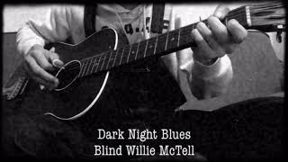 &quot;Dark Night Blues&quot; Blind Willie McTell Stella 12 String