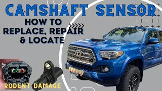 Toyota Camshaft Sensor repair and location guide