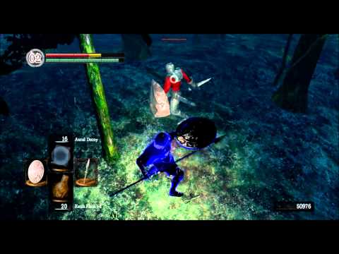 best dark souls player EVER! (sarcasm)