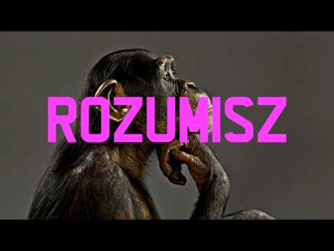 mtSTAR - ROZUMISZ (prod. 4estBeatz)