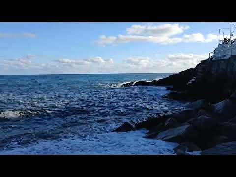 Swanpool is a beautiful sand and shingle beach