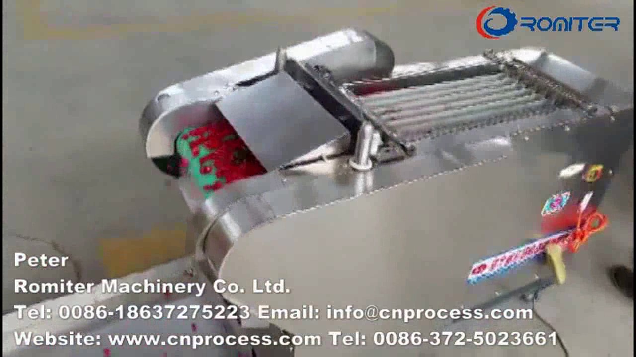 Automatic Fresh Pepper Cutting Machine