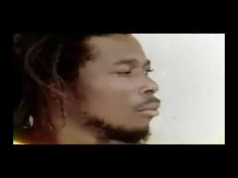 Bob Marley + Beastie Boys =mp4