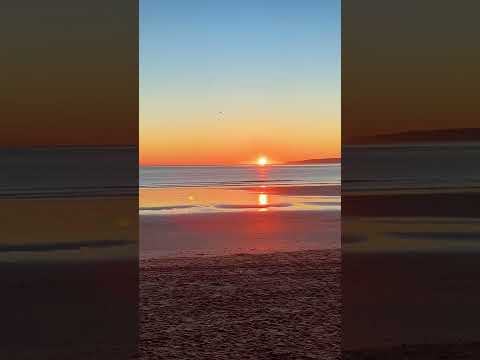 Good morning from a stunning Scarborough beach! #shorts