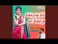 Vayyaaralu Poke Naa Vayyaari