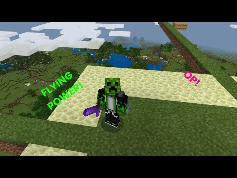 I FOUND THE ELYTRA IN MINECRAFT SKYBLOCK!  [FINAL EP?]