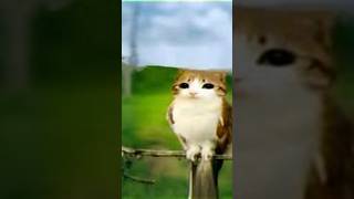 Download lagu jungle beat #flstudio #jungle #music mp3 Download lagu jungle beat #flstudio #jungle #music mp3