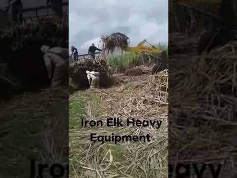 Iron Elk StrongBull Cane Loader (Murcia Farm)