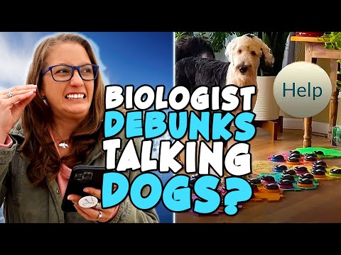 Can Dogs Talk With Buttons? A Biologist EXPLAINS!