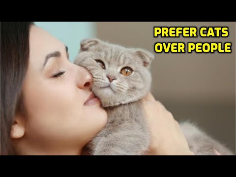 Why Do I Like Cats More Than Humans?