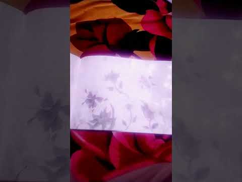 summer season 🌻🌻