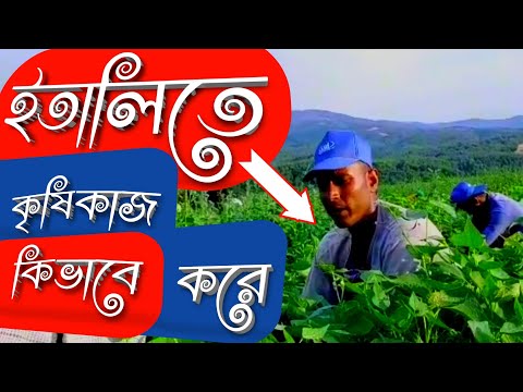 How to do agriculture work in Italy // italy agriculture visa work